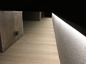 IMG_0528